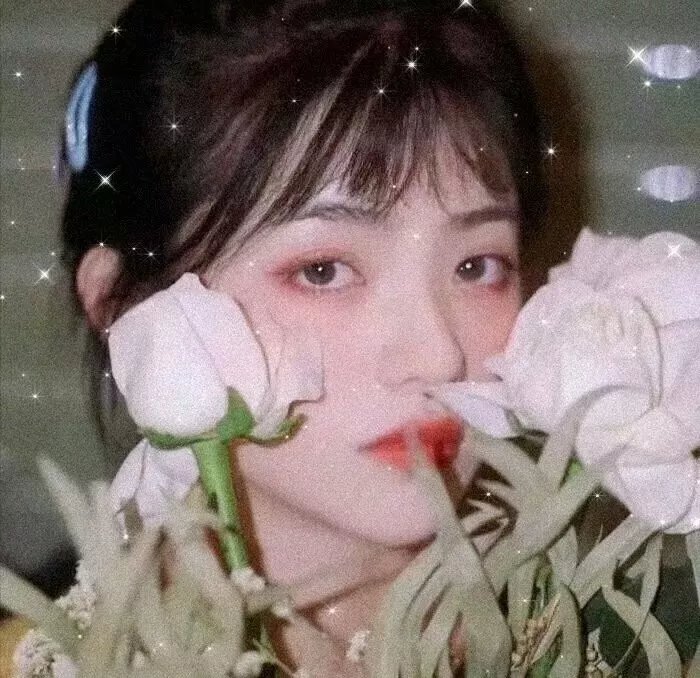 萌宠入殓师